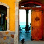DSC_0868_0_med